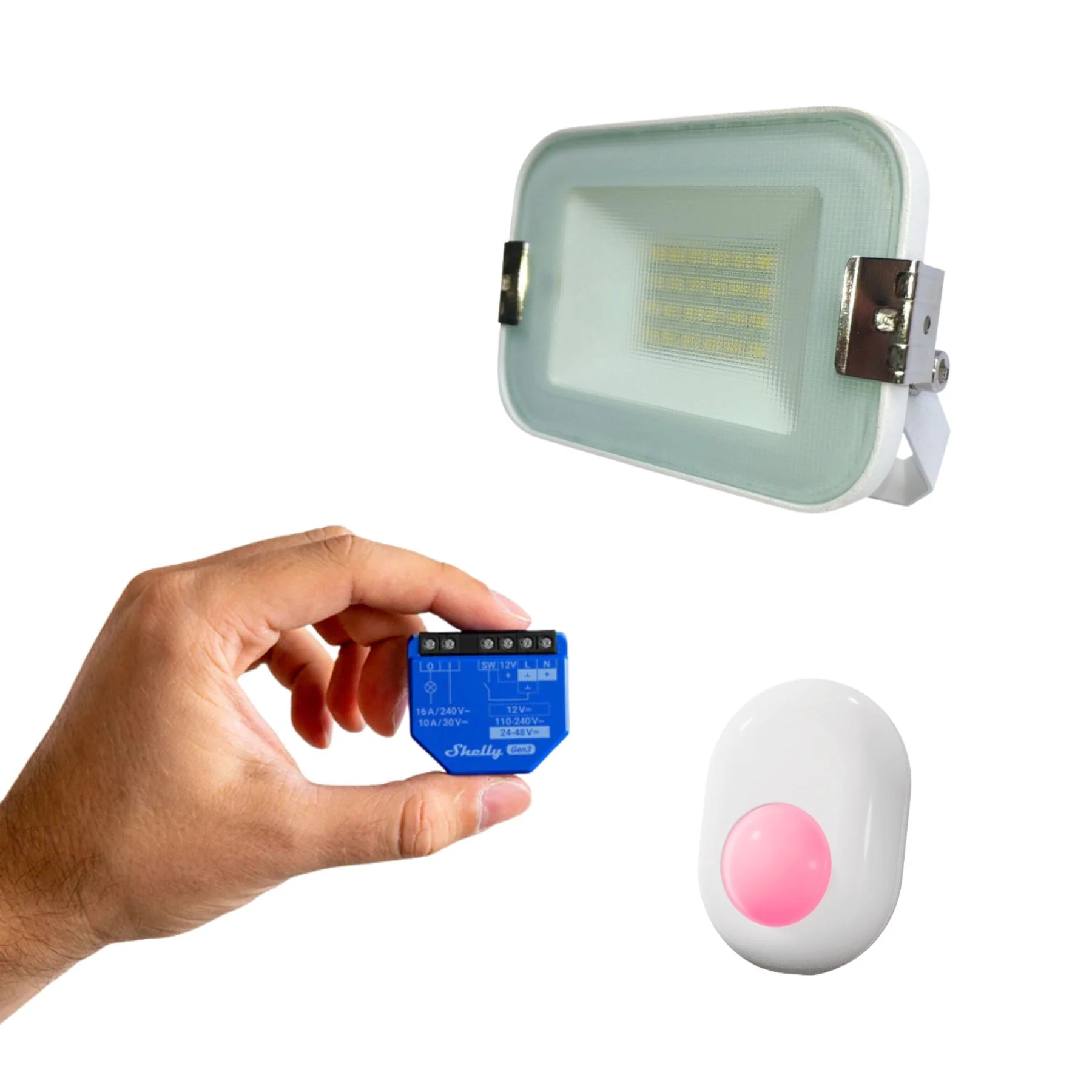 Miniatura 1